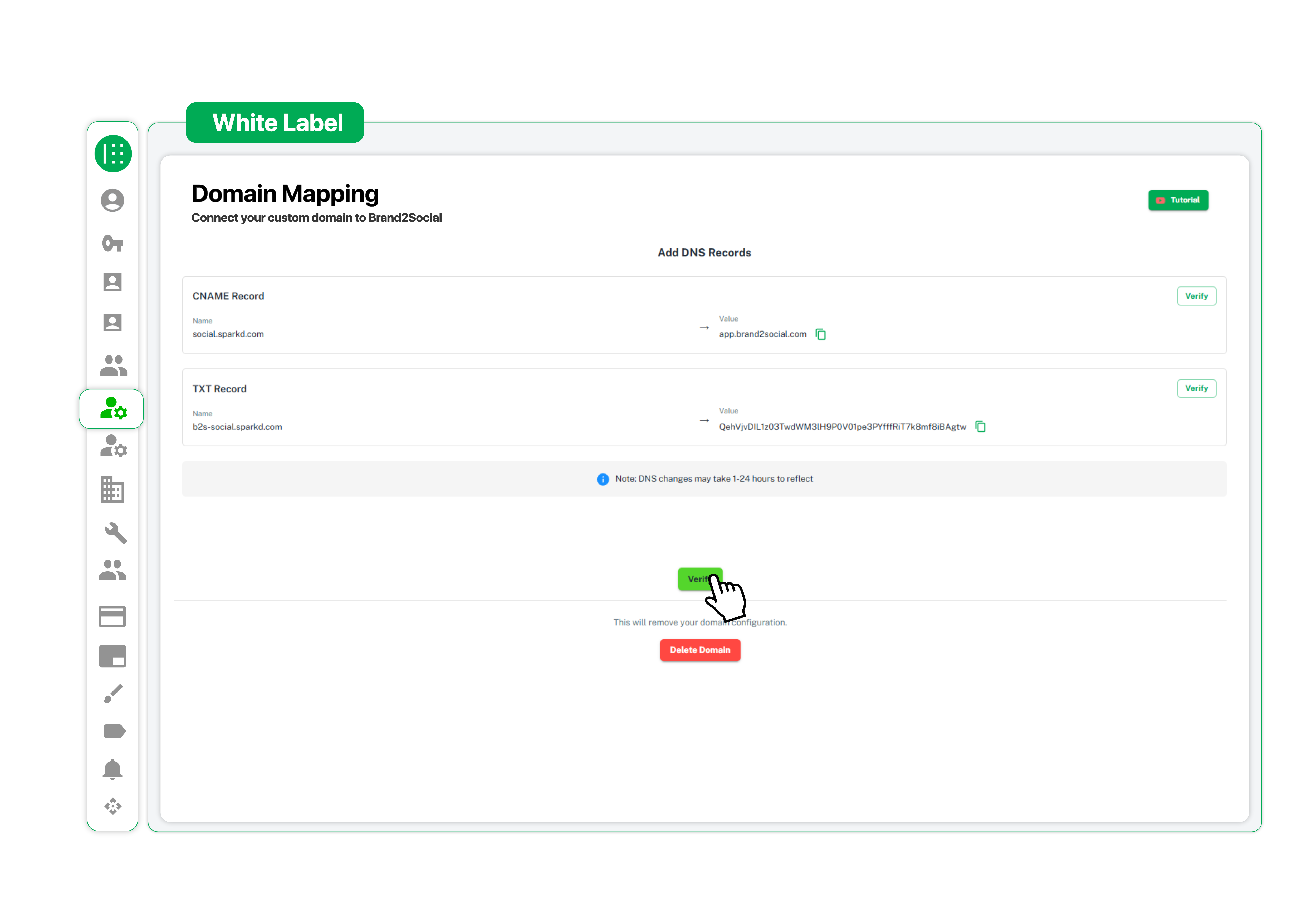 White label domain mapping showing CNAME and TXT DNS records with verify button